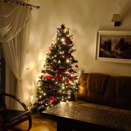 Apartament Kazimierza Wielkiego Sosnica  エクステリア 写真